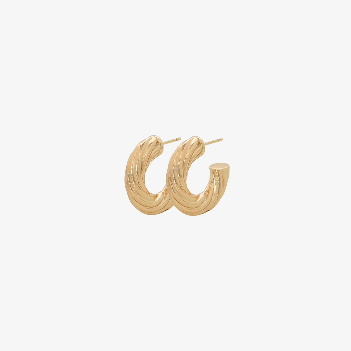Chubby Twisted Hoops
