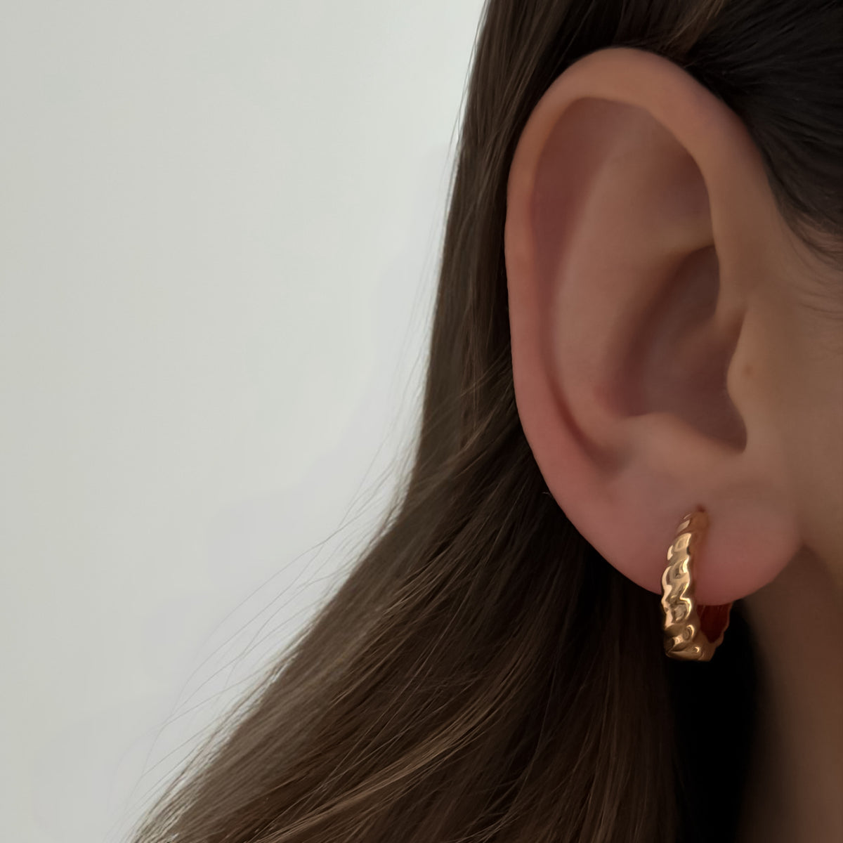 Chic Twisted Hoops