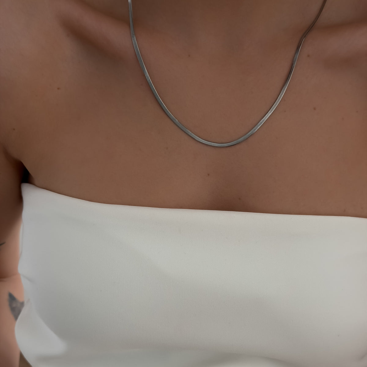 Dainty Snake Necklace [Silver]