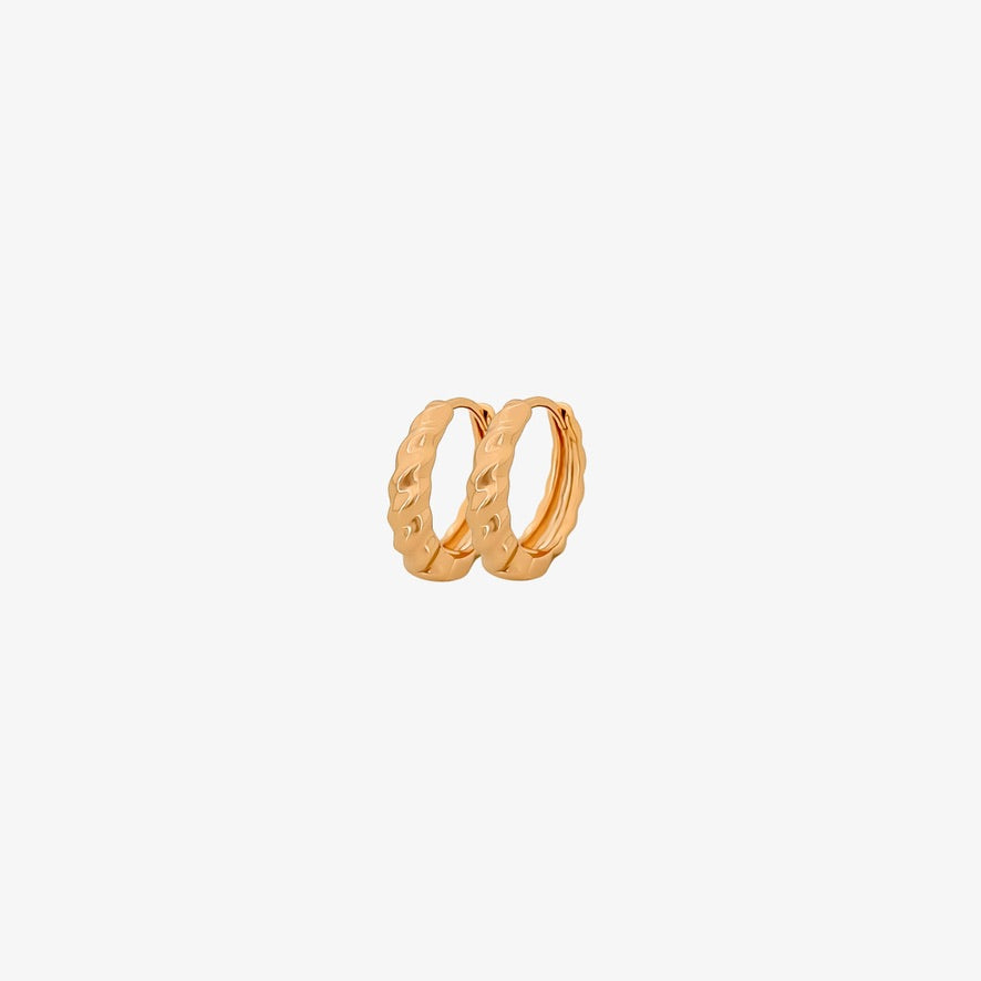 Chic Twisted Hoops